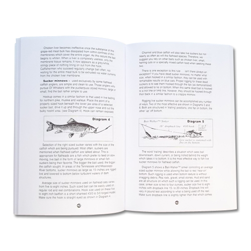 catfish_book2_gapen